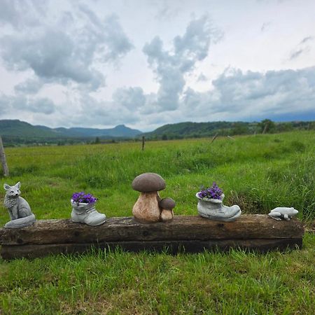 Wataha Pod Basztami - Alfa - Domki Caloroczne Radkow Esterno foto